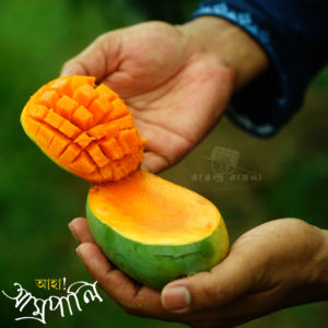 আম্রপালি