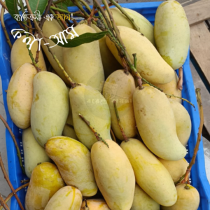 ব্যানানা ম্যাংগো (কলা-আম)