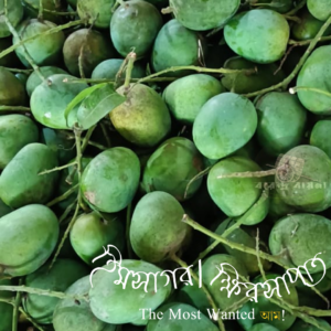 খিরসাপাত (হিমসাগর)