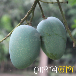 গোপালভোগ
