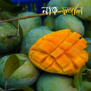 নাক ফজলি